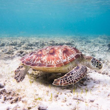 吉利特拉旺安 博埃梅修女旅舍旅舍 外观 照片